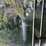 image6
