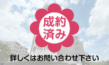 �n�C���C�Y�^�E���ߖq