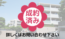 �C�j�V�A�V�S�����u