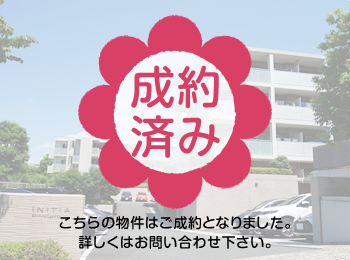 �C�j�V�A�V�S�����u �O��