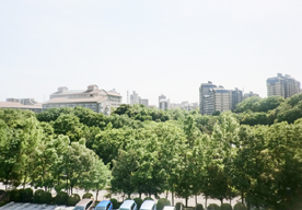 ����w���G���̋u �o���R�j�[����̒���