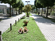 �v�����i�[�h�������� �O�ςɐl�C������܂�